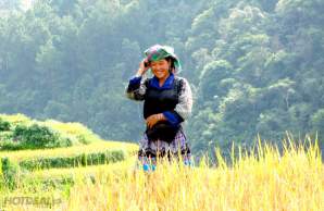 cong_ty_tnhh_du_lich_va_thuong_mai_tuong_anh_54l442mi.jpg
