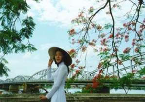 cong_ty_tnhh_du_lich_va_thuong_mai_tuong_anh_54r93q7m.jpg