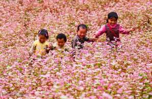 cong_ty_tnhh_du_lich_va_thuong_mai_tuong_anh_54v058m2.jpg