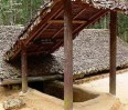 cong_ty_tnhh_du_lich_va_van_tai_trai_ca_chua_5720242D.jpg