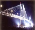 cong_ty_tnhh_du_lich_va_van_tai_trai_ca_chua_577wwse5.jpg