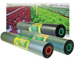cong_ty_tnhh_etra_viet_nam_43h48oWH.jpg