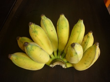 cong_ty_tnhh_fresh_banana_3394h99y.jpg