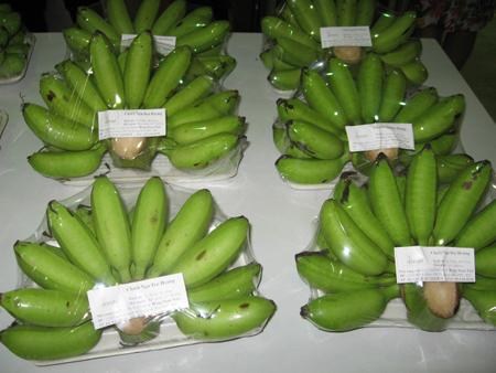 cong_ty_tnhh_fresh_banana_33do8886.jpg