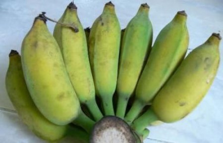 cong_ty_tnhh_fresh_banana_33j60sad.jpg