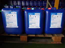 cong_ty_tnhh_green_04873109.jpg