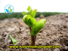 cong_ty_tnhh_hoa_chat_xay_dung_moi_truong_viet_6125g10m.png