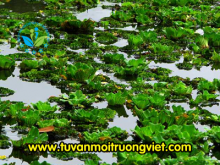 cong_ty_tnhh_hoa_chat_xay_dung_moi_truong_viet_6131x432.png