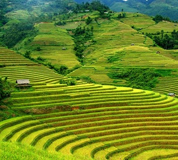 cong_ty_tnhh_huong_thu_06qh8mwr.jpg