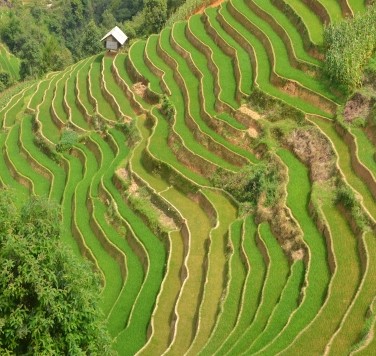 cong_ty_tnhh_huong_thu_0713qG6C.jpg