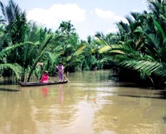 cong_ty_tnhh_huong_thu_0733D389.jpg