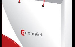 cong_ty_tnhh_in_bao_bi_dong_phat_395pu5fl.jpg
