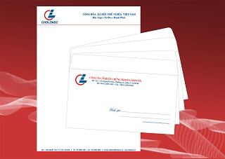 cong_ty_tnhh_in_bao_bi_thanh_vuong_94h71340.jpg