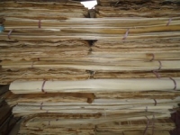 cong_ty_tnhh_mtv_nhat_viet_thang_75nF50J6.jpg
