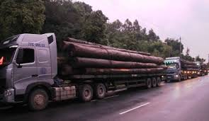 vận tải gỗ