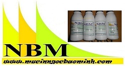 cong_ty_tnhh_mtv_thuong_mai_va_dich_vu_ngoc_bao_minh_51vb2ibO.jpg