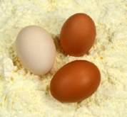 Bột lòng trắng trứng