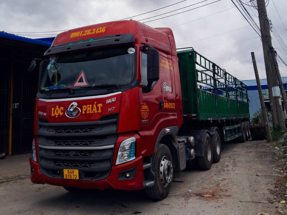 cong_ty_tnhh_mtv_tm_van_tai_loc_phat_5559s2d3.jpg