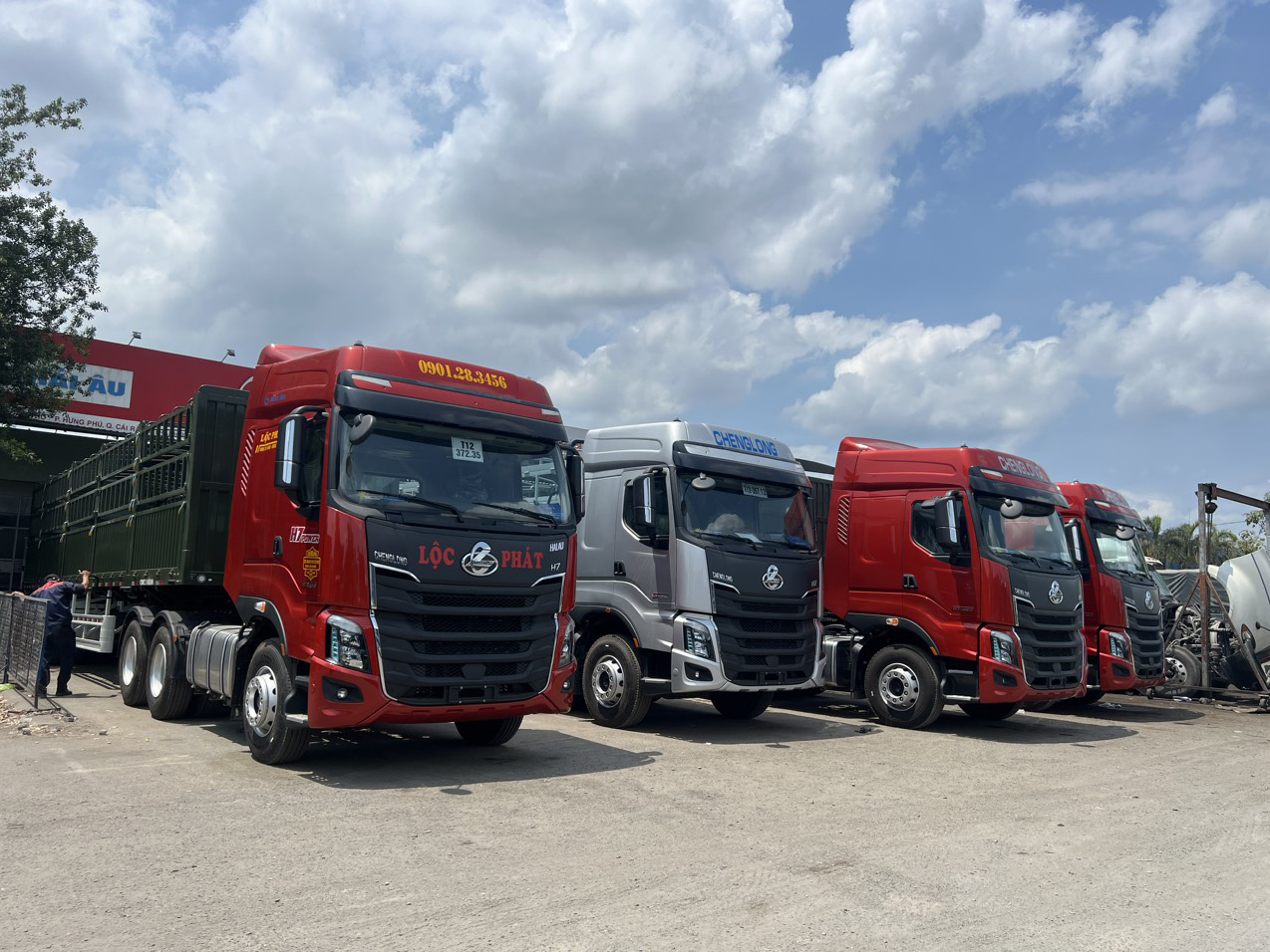 cong_ty_tnhh_mtv_tm_van_tai_loc_phat_5589qjvd.jpg