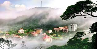 cong_ty_tnhh_mtv_xuat_nhap_khau_du_lich_dau_tu_ho_guom_872lw9m8.jpg