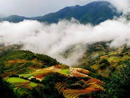 cong_ty_tnhh_mtv_xuat_nhap_khau_du_lich_dau_tu_ho_guom_87505vrk.jpg