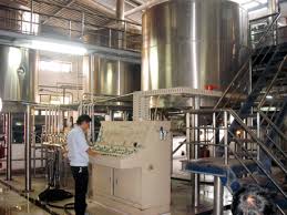 cong_ty_tnhh_ngoc_phan_254k4p8e.jpg