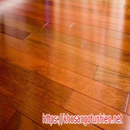 cong_ty_tnhh_noi_that_tin_thanh_46333263.jpg