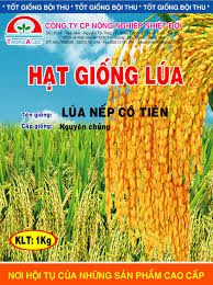 cong_ty_tnhh_nong_nghiep_nhiet_doi_762OW2V7.jpg