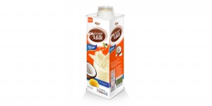 Fruit Juice Brands Coconut Milk Mango 600ml