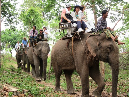 cong_ty_tnhh_pham_truong_da_lat_45e2y5z6.jpg