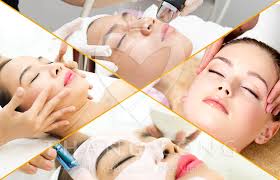 cong_ty_tnhh_phat_trien_cong_nghe_thien_phu_thanh_5755ml05.jpg
