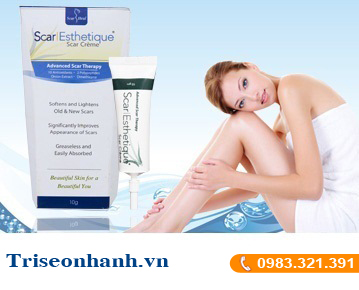 cong_ty_tnhh_phat_trien_thuong_mai_hong_hai_28s140RX.jpg