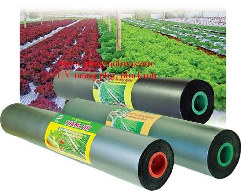 cong_ty_tnhh_phu_gia_nhua_hoang_phat_43708opo.jpg
