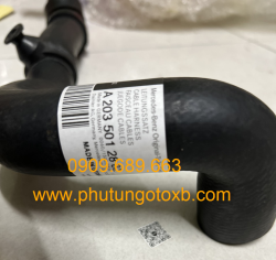 cong_ty_tnhh_phu_tung_o_to_xuan_bao_906g695X.jpg