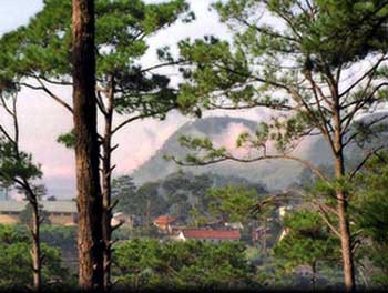 cong_ty_tnhh_tam_nhin_vien_a_315000h1.jpg