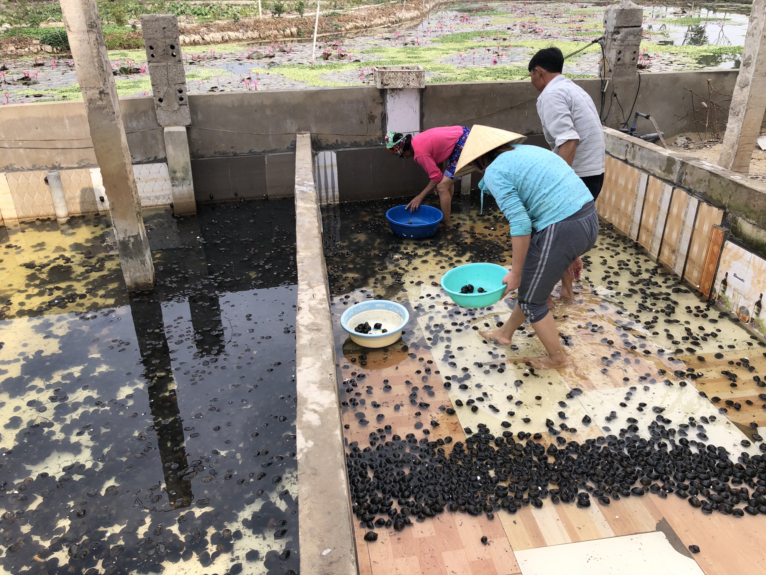 cong_ty_tnhh_thien_bao_thanh_hoa_540o20y0.jpg