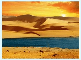 cong_ty_tnhh_thien_duong_travel_864L38XA.jpg