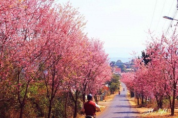 cong_ty_tnhh_thien_duong_travel_8673ay6U.jpg