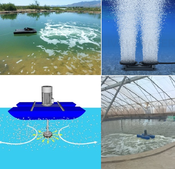 Hệ thống-thiết bị cấp oxy nuôi trồng thủy sản