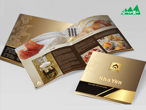 cong_ty_tnhh_thiet_ke_cao_nguyen_xanh_41025968.jpg