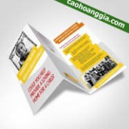 cong_ty_tnhh_thuong_mai_cao_hoang_gia_42d7TA73.jpg