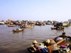 cong_ty_tnhh_thuong_mai_dich_vu_daily_travel_93L8ZHO3.jpg