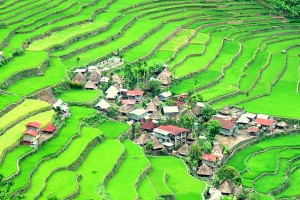 cong_ty_tnhh_thuong_mai_dich_vu_daily_travel_93tuv8EO.jpg