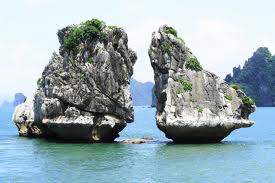 cong_ty_tnhh_thuong_mai_dich_vu_du_lich_canh_en_78183746.jpg