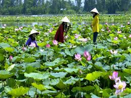 cong_ty_tnhh_thuong_mai_dich_vu_du_lich_canh_en_783b7ZVT.jpg