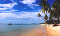 cong_ty_tnhh_thuong_mai_dich_vu_du_lich_canh_en_7899eb92.jpg