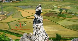 cong_ty_tnhh_thuong_mai_dich_vu_du_lich_dong_tay_xanh_35i8yn5M.jpg