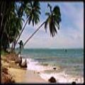 cong_ty_tnhh_thuong_mai_dich_vu_du_lich_viet_an_289F1M4B.jpg