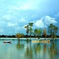 cong_ty_tnhh_thuong_mai_dich_vu_du_lich_viet_an_28f6ZVI2.jpg