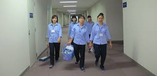 cong_ty_tnhh_thuong_mai_dich_vu_hong_quang_hai_30c9C97W.jpg
